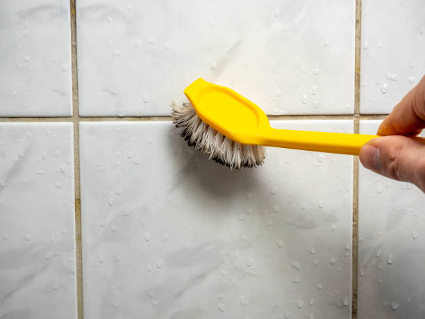 Best Fast Mold Removal  in Stearns, KY