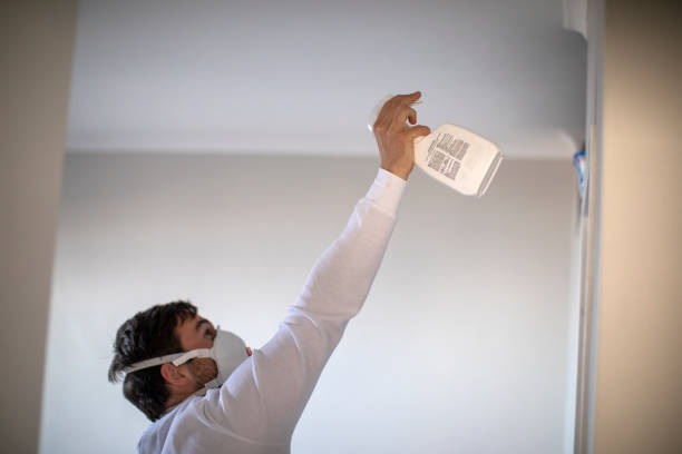 Best Commercial Mold Removal  in Stearns, KY