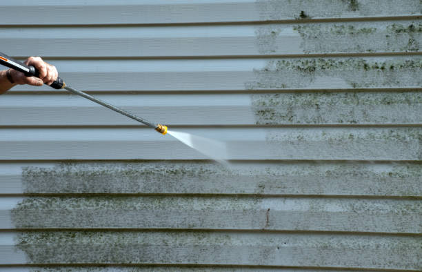 Best Attic Mold Removal  in Stearns, KY