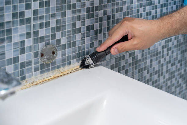 Best Mold Cleaning Services  in Stearns, KY