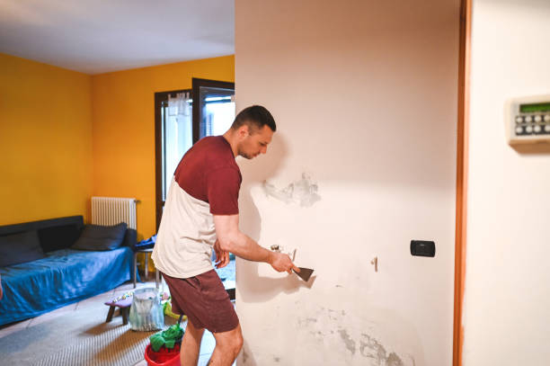 Best Mold Removal and Inspection  in Stearns, KY